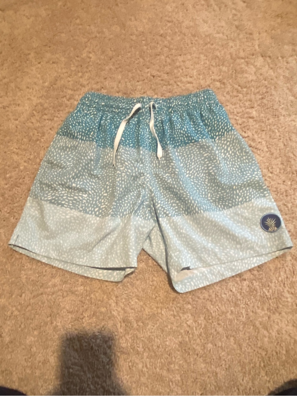 Chubbies Swim Shorts